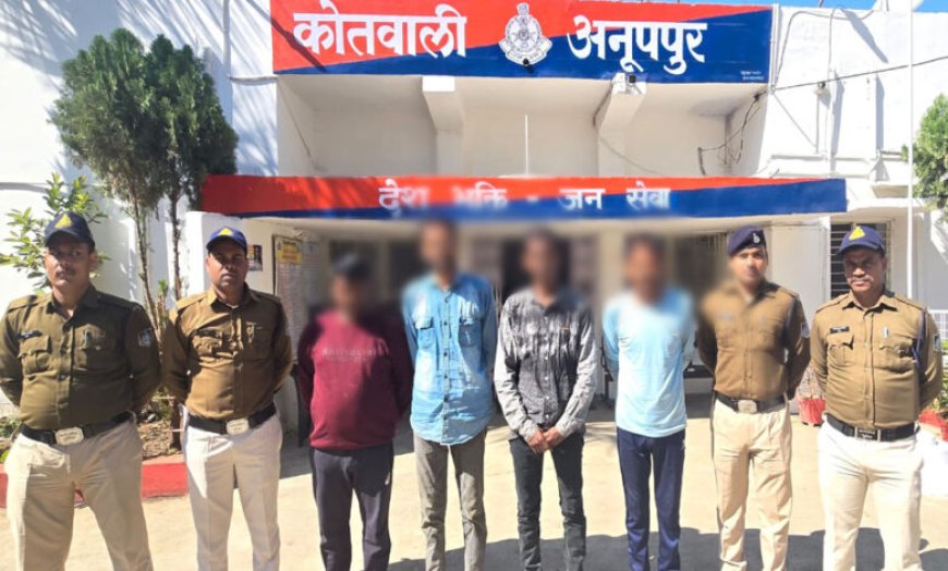 कोतवाली अनूपपुर पुलिस ने रात्रि काम्बिंग गश्त में 08 फरार वारंटी गिरफ्तार, निगरानी व गुंडा बदमाशो