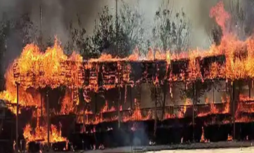 प्रदेश की सबसे बड़ी गौशाला लाल टिपारा में लगी भीषण आग, फायर ब्रिगेड राहत कार्य में लगी